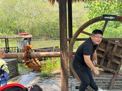 -溱湖国家湿地公园