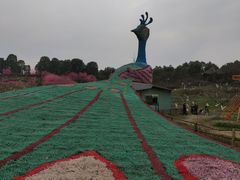 -秀丽东方