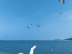 -长岛南北长山旅游景区