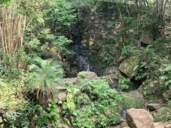 -大雁山风景区