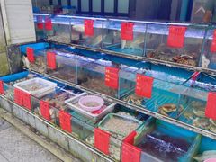 水产区-金海湾海鲜排档(朱家尖店)