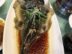 清蒸鲟鱼-香融府·烤鸭·家常菜(马家堡路店)