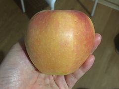 -鲜丰水果(丰盛九玺店)
