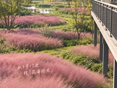 -嘉北郊野公园