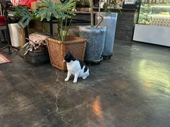 -北马山庄植趣咖啡