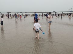 -南汇嘴观海公园