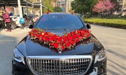 -宁波甬诚婚车(新典路店)