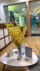 -涩谷· Hair Salon