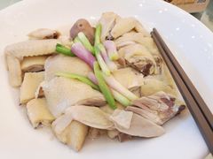 盐水浸鸡-龙悦湾酒家·八阵鱼生·渔人码头店