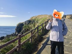 -涉地可支