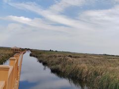 -白洋淀风景区
