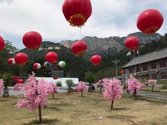 -大芦花风景区