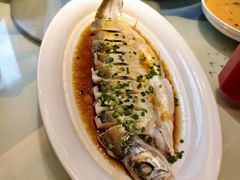 -松沪名灶·新上海菜(飞航吾悦广场店)