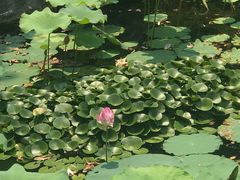 -乌镇望津里精品酒店