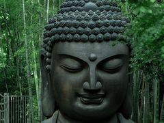 -杭州植物园