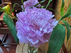 -京菜·砂锅居·烤鸭(西四店)