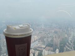 -上海中心大厦