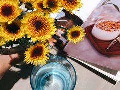 -boundaries籬苑(瑞光创意工厂-贰号院店)