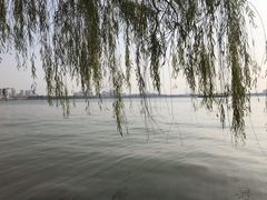 -金鸡湖桃花岛