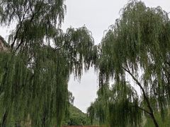 -藏山旅游风景区