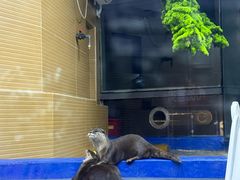 -太平洋海底世界