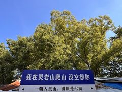 -灵岩山风景区