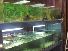 -真浪大家乐海鲜餐馆