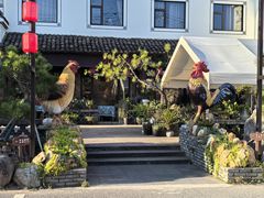 -头上红煨盐鸡乡村食府