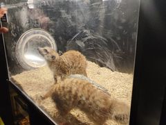 -太平洋海底世界