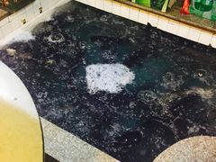 -旭龙鱼头王(航华店)