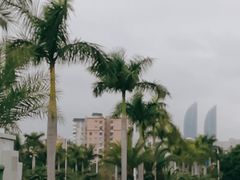 -黄金海岸环岛路