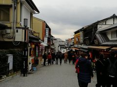 -有栖山 清光院 清水寺