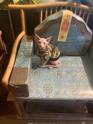 -木子·纹身店TATTOO穿孔·洗纹身