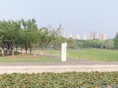 -尚贤河湿地