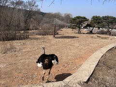 -沈阳森林动物园