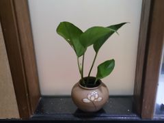 -九华山聚龙大酒店