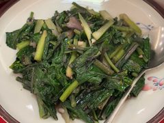 红菜苔-小竹林农庄