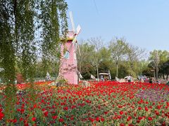 -祥源·阜阳生态乐园