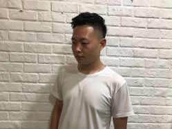 -YESIDO椰岛造型