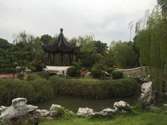 -苏州吴宫泛太平洋酒店