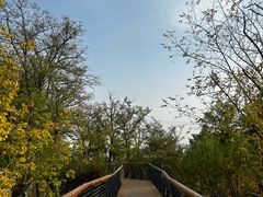 -白水寺森林公园