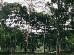 -深圳市人才园(深南大道店)