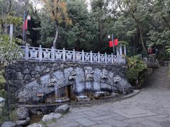 -蝴蝶泉公园