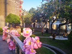 -卫鼎轩·曹公馆(鼓楼店)