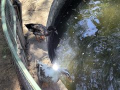 -南宫五洲植物乐园