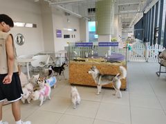 -怪兽屋·羊驼·猫咖·狗咖(俊华广场店)