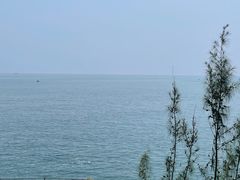 -广东惠东海龟国家级自然保护区