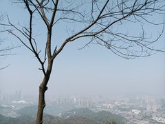 -岳麓山风景名胜区