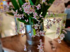 -MIMO CAFE(沙头角店)