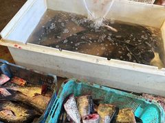 -岳各庄批发市场(西四环中路店)